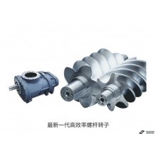 Rotary Screw