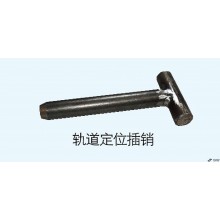 Track Positioning Pin